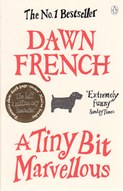 A Tiny Bit Marvellous by Dawn Fench
