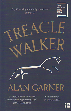 Treacle Walker by Alan Garner