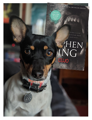Lucy recommends Cujo by Stephen King