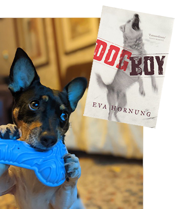Lucy Recommends Dog Boy