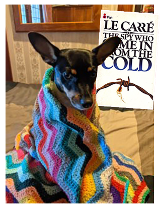 Lucy recommends The Spy Who Came in From the Cold by John LeCarre
