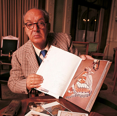 Nabokov with picture of butterfly